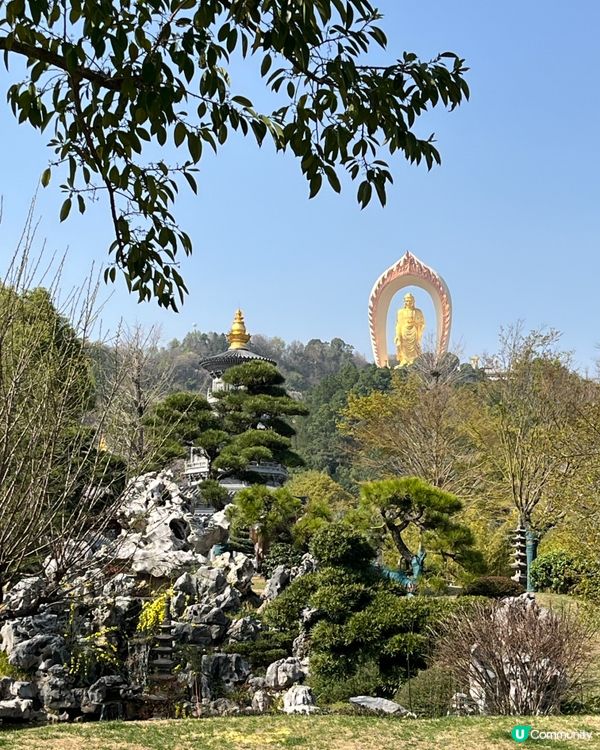 東林大佛 ~ 佛教淨土宗發源地 ##中國好去處#輕鬆出遊#好...