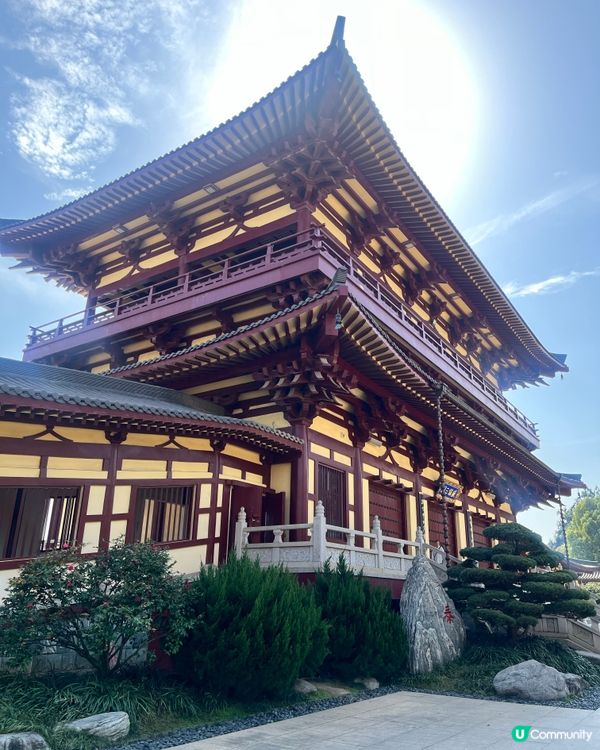 東林大佛 ~ 佛教淨土宗發源地 ##中國好去處#輕鬆出遊#好...