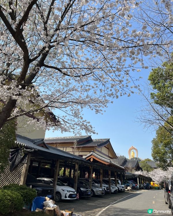 東林大佛 ~ 佛教淨土宗發源地 ##中國好去處#輕鬆出遊#好...