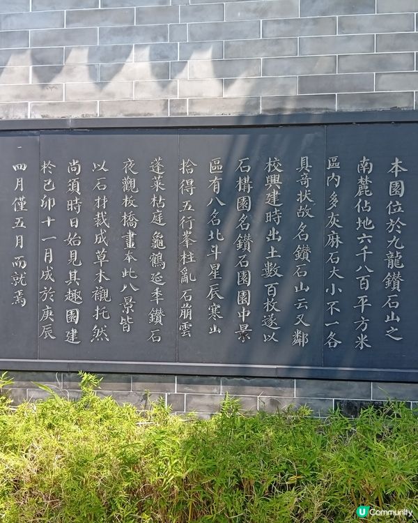  🌸香港賞花🌸  唔使飛日本都得！