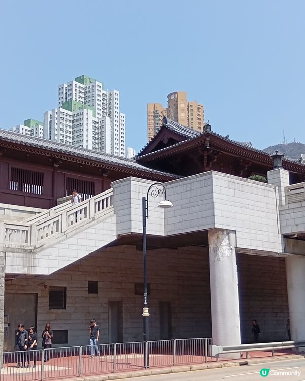  🌸香港賞花🌸  唔使飛日本都得！