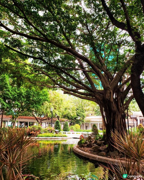 🌺 南昌公園對面🌳的秘密花園🤫