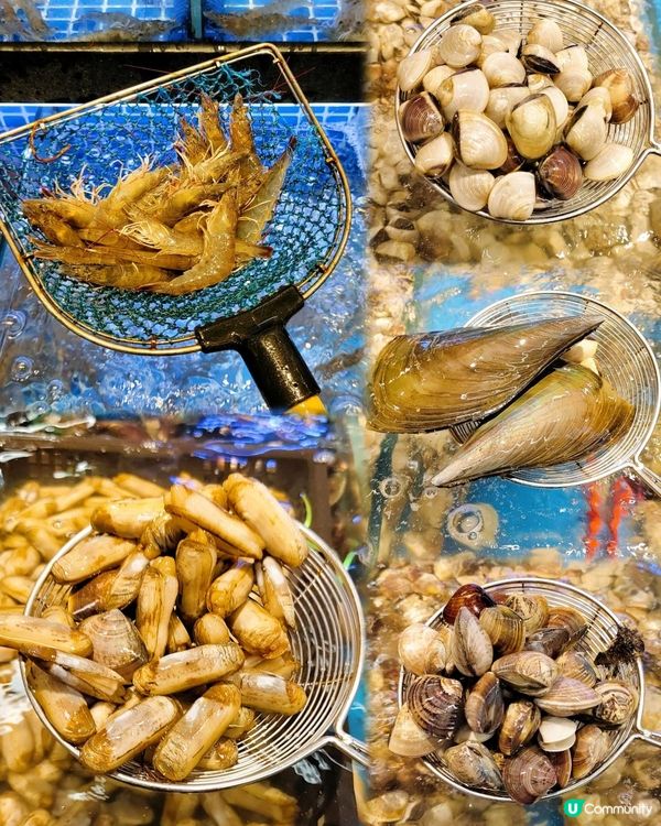 《東門性價比高自助火鍋吃到爽》