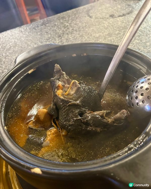 佐敦必食🔥斗滾任食雞煲🍲$300搞掂！