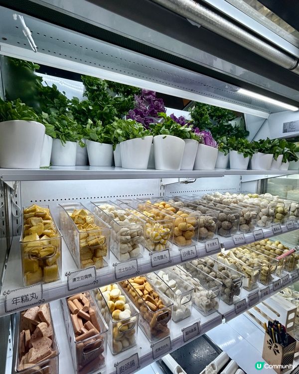 佐敦必食🔥斗滾任食雞煲🍲$300搞掂！