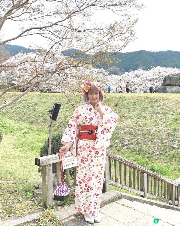 ［日本旅遊］櫻花季（關西地區：明日香、飛鳥附近）