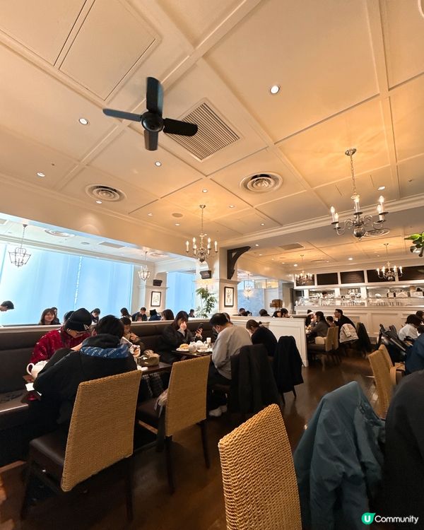 大板必食人氣蛋糕🍰店