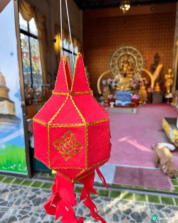 清邁必食- 平價燕窩，仲有好正嘅face cream, 同埋...