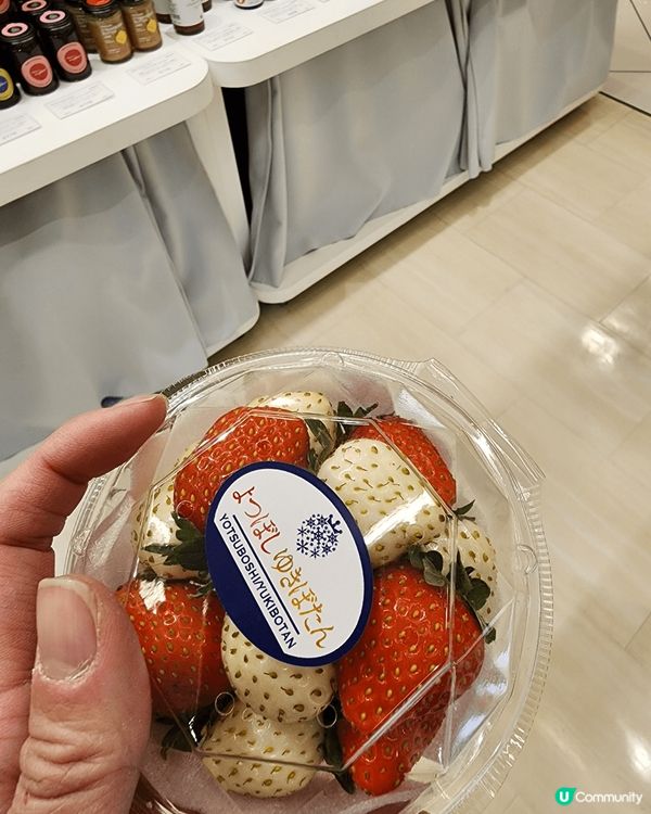 開關後，每年的冬天都會到訪北海道一次，每次去到當地都品嚐它們...