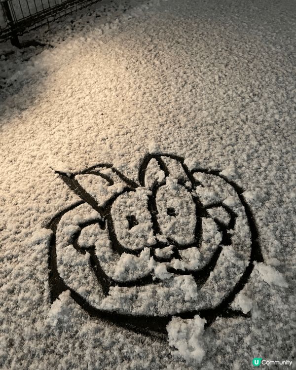 冬天去日本梗係要玩雪畫公仔，食返個日本定食同埋夾自己最愛嘅公...