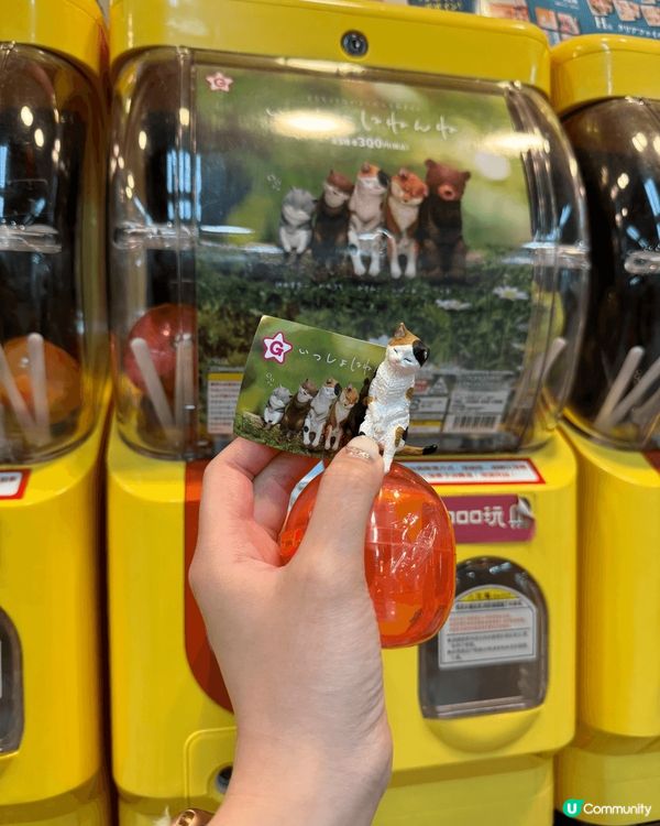 今次去旅行，去咗名古屋，金澤，一路上一直找尋同貓貓相關嘅手信...