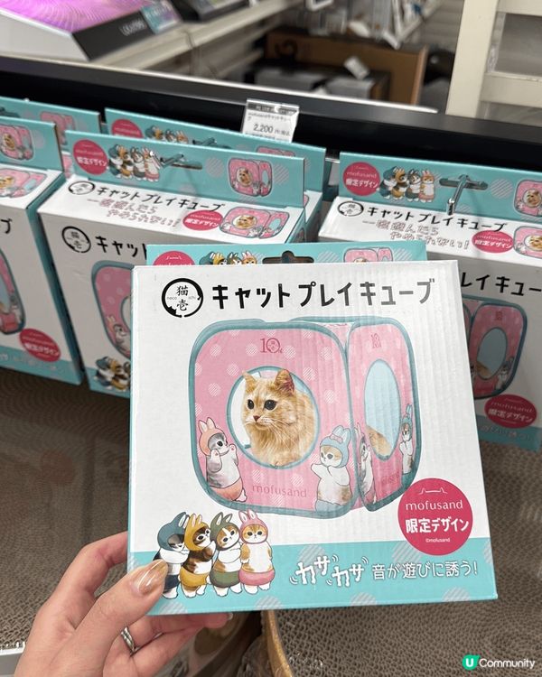 今次去旅行，去咗名古屋，金澤，一路上一直找尋同貓貓相關嘅手信...