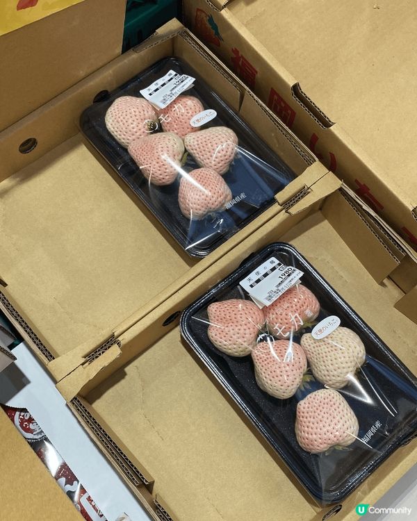 福岡必定去的二手店book off 可以找到很便宜的二手公仔...