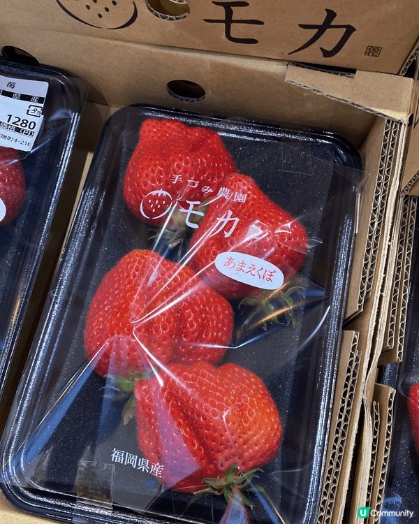 福岡必定去的二手店book off 可以找到很便宜的二手公仔...