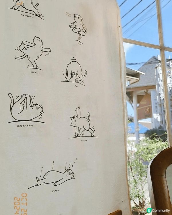 清邁係一個令人好放鬆嘅地方，所以揀小香薰，嗅到都chill