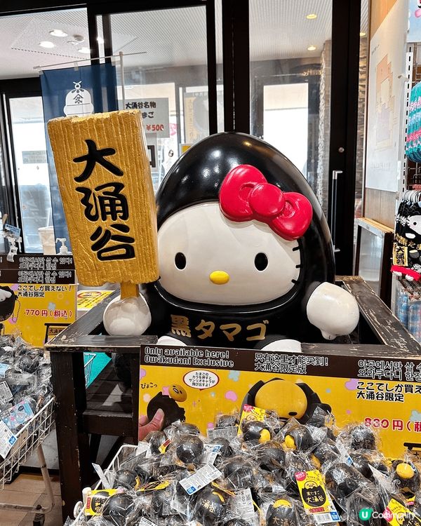 位於東京近郊神奈川縣的箱根靠近富士山，是日本有名的溫泉旅遊勝...