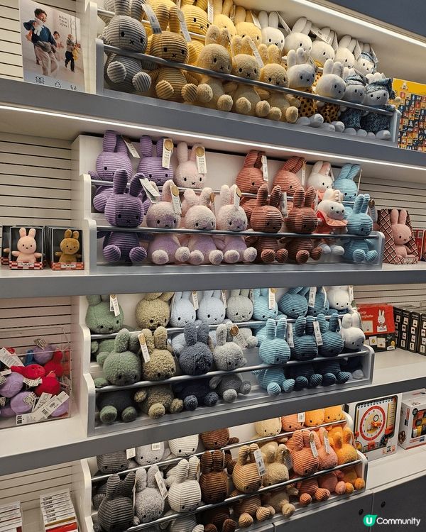 歐洲荷蘭必須要買手信miffy兔， 荷蘭cheese  同荷...