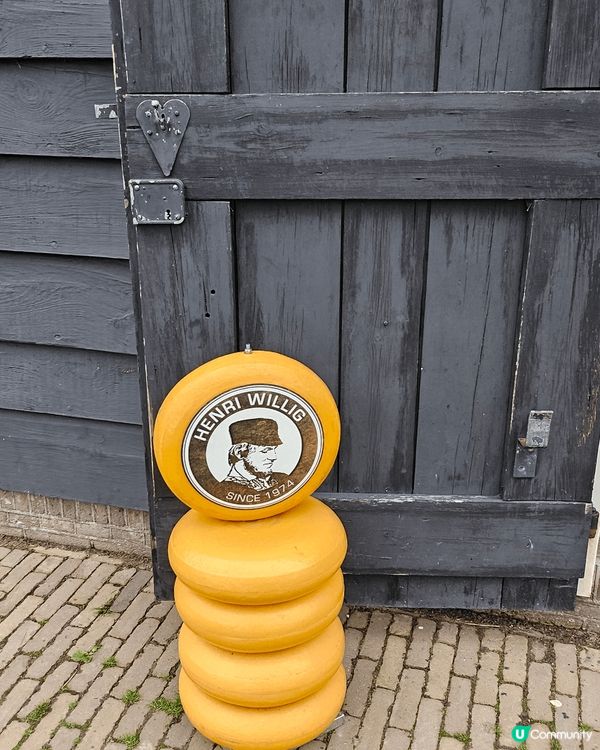 歐洲荷蘭必須要買手信miffy兔， 荷蘭cheese  同荷...