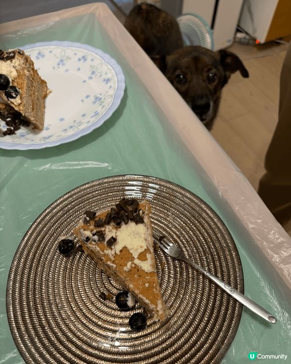 必食一定係各種甜品！