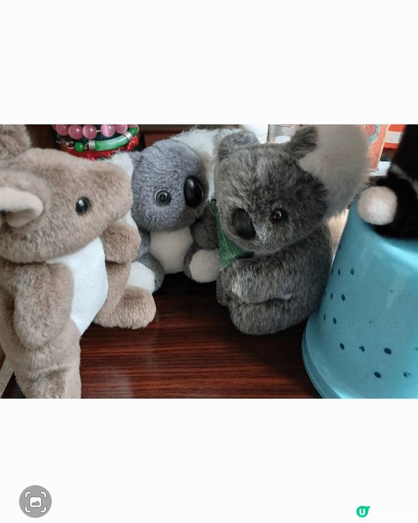 Famous karola and kangaroo & p...