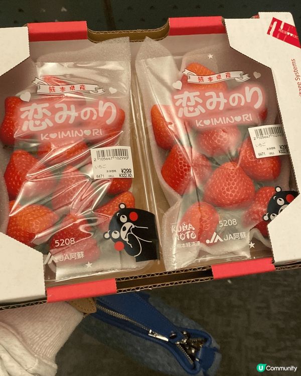 我最近去日本大板、台灣旅行，體驗了當地的美食和文化。大板的街...