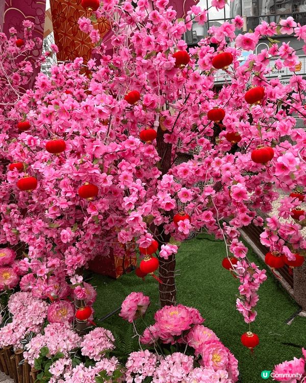 昨天去了DonDonDonki逛逛，發現LuLuLun有隻新...