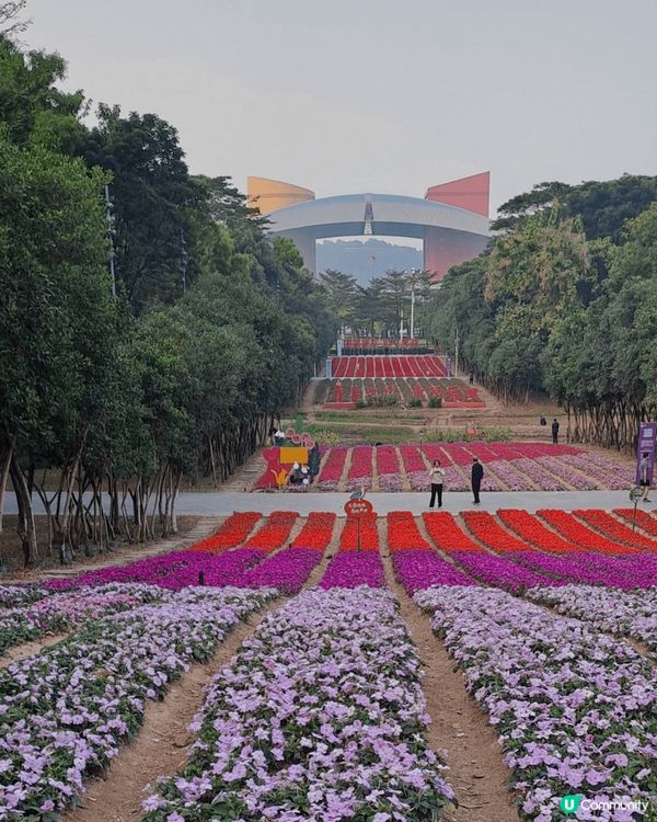 平時鍾意個寵物去玩去旅遊見識世界令我身心放鬆。