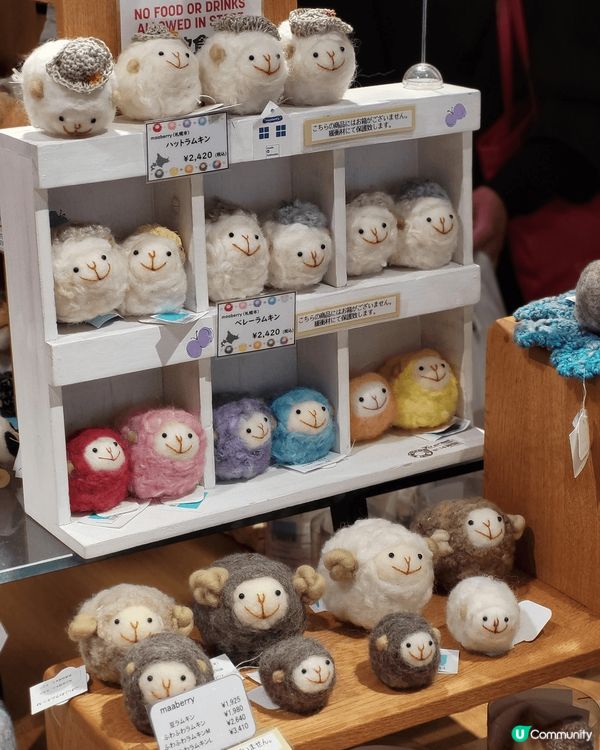 北海道機場手信全攻略2025🇯🇵‼️