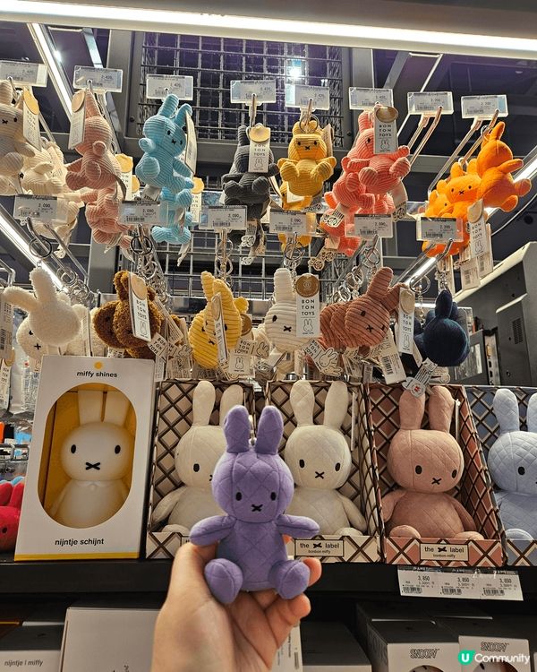 日本旅行手信必買Royce朱古力系列！去行車用品店，要買頭文...