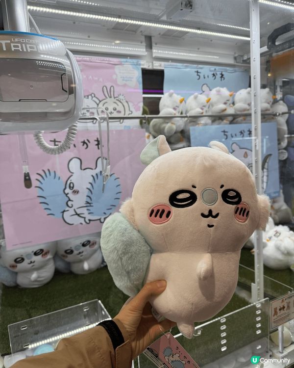 香港人去日本必夾的大熱公仔，還有感受灌籃的鎌倉高校前的江之島...