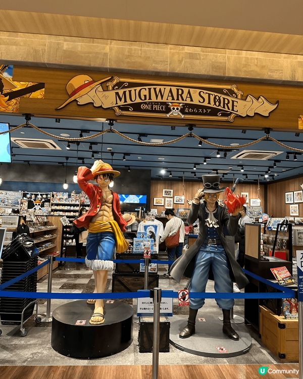 今年情人節去左熊本5日4夜快閃遊，除左去左草千里之濱搭左直升...