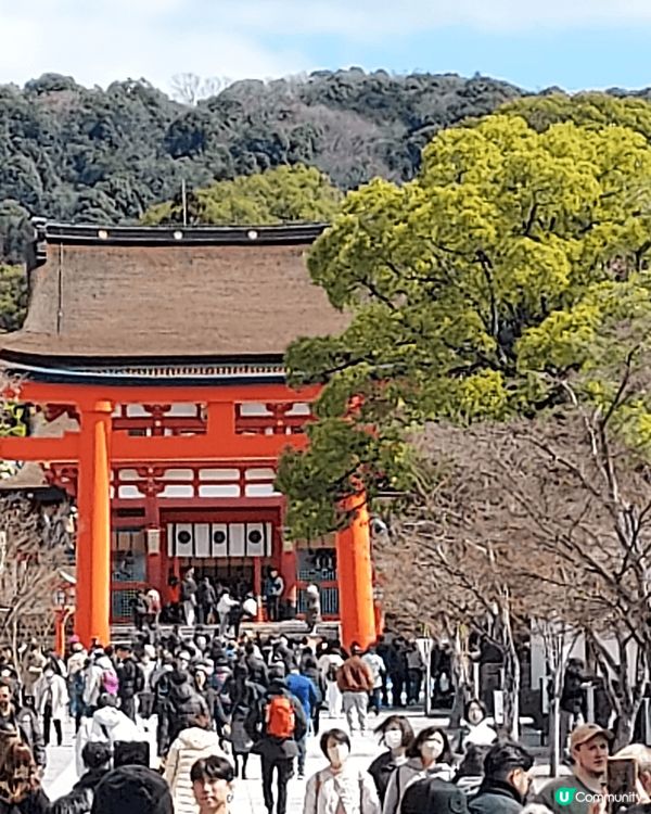 日本之行，这个时候值得去，天桥立景点靓，岚山丰景美丽如画，神...