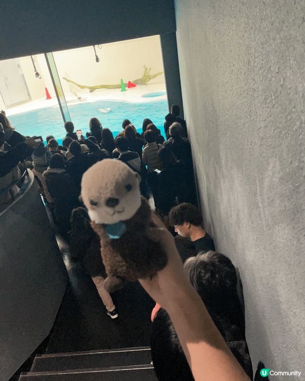 豪斯登堡是位於日本九州的一個大型主題樂園，以其獨特的歐洲風情...