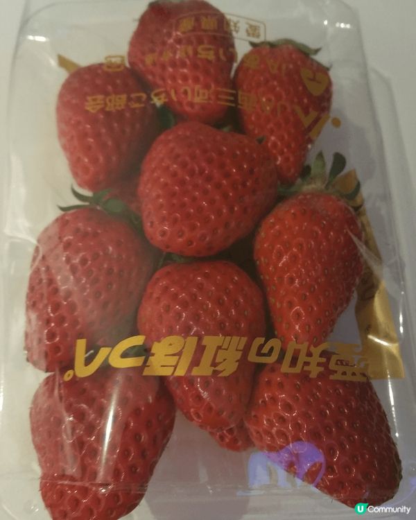 名古屋蝦片必須要嘅手信，大人小朋友都合適。