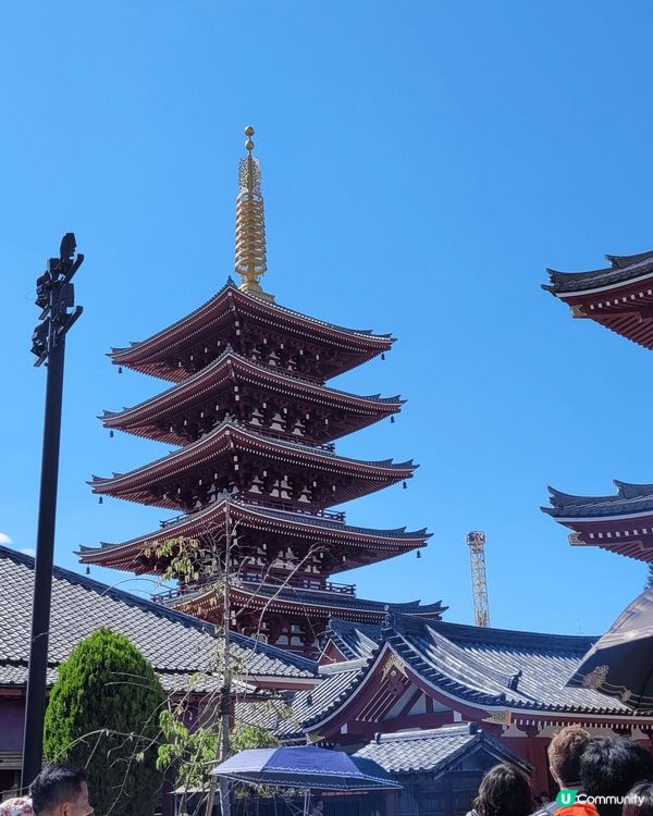 東京，東京迪士尼，碗，mickey 公仔，毛巾，想買去到日本...