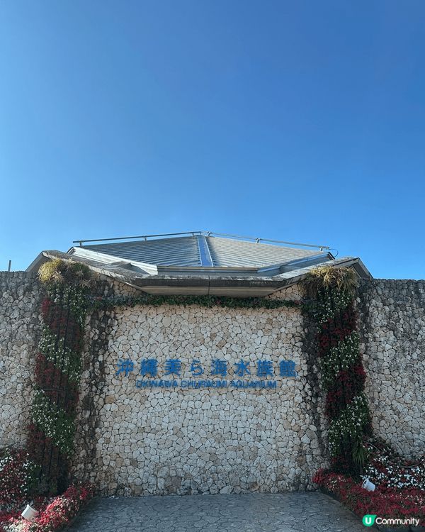 🏖️ 沖繩水族館（美ら海水族館）位於沖繩北部，讓人近距離感受...