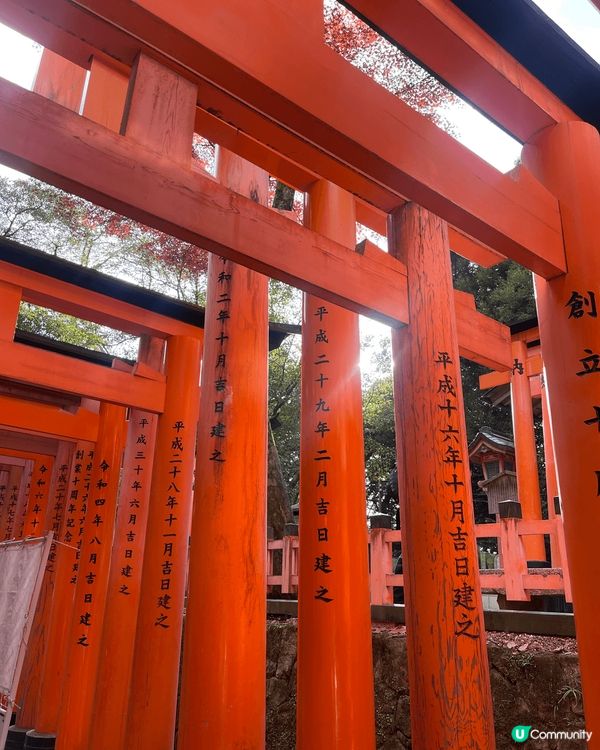 以上相片拍攝於日本東京和大阪，全部都是著名景點和遊日必吃的美...