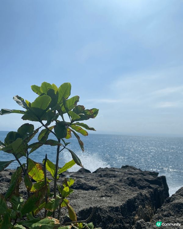 這是在台灣小琉球的照片，去的月份為5月。夏天 天氣炎熱 間中...