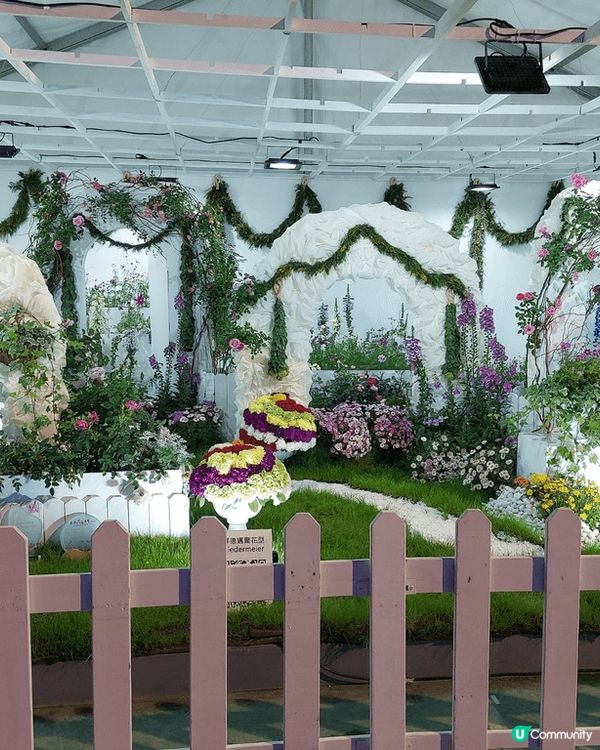 #偽素顏美肌攻略