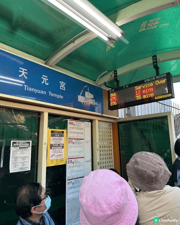 尋日3/25 紫藤花正式盛開@台北淡水紫藤花園二號園區