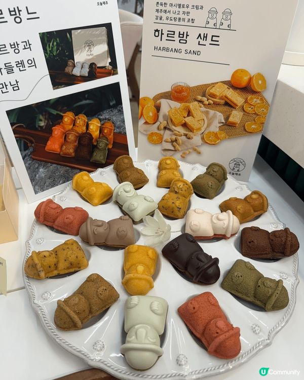 韓國濟洲島之旅💃🏻💃🏻💃🏻黎到Jeju除左chill之外，都...