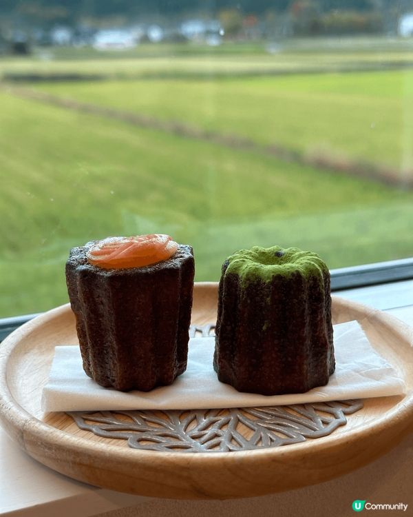 前往日本九州，一定要搭觀光列車，我哋就搭咗由布院之森，列車上...