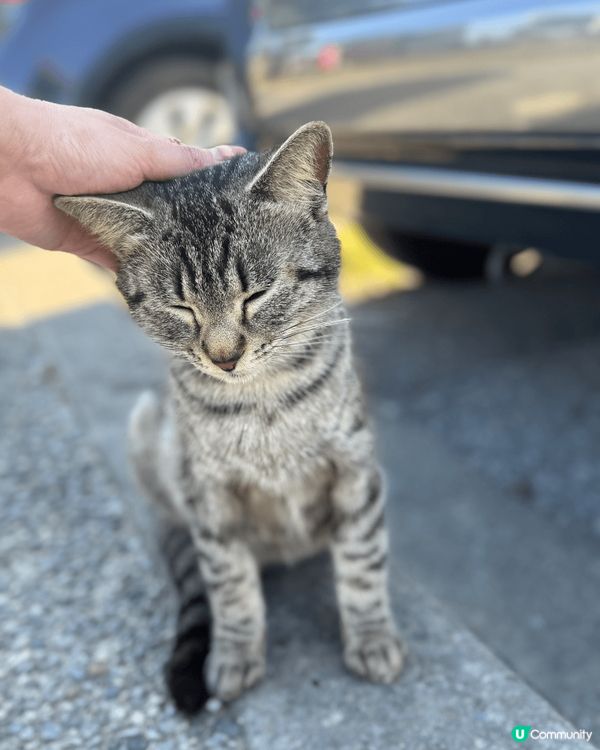 去左台北試hair spa, 幫看己得頭髮做facial.最...