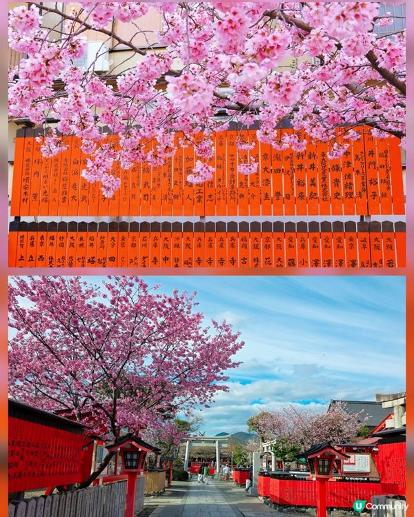 嵐山隱世賞樱秘境🌸藝能界神社⛩️車折神社⛩️