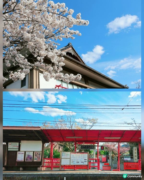 嵐山隱世賞樱秘境🌸藝能界神社⛩️車折神社⛩️