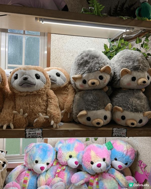 1. 日本富士山五合目：一來証明到過富士山，二來真係帶空氣做...