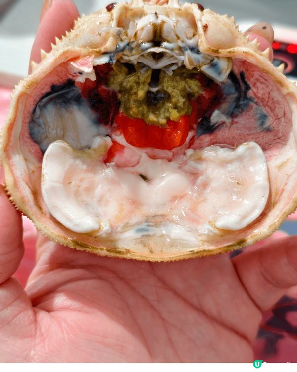 最近發現呢款香箱蟹真係幾好味呀，而且好多蟹膏蟹籽，令我大飽口...