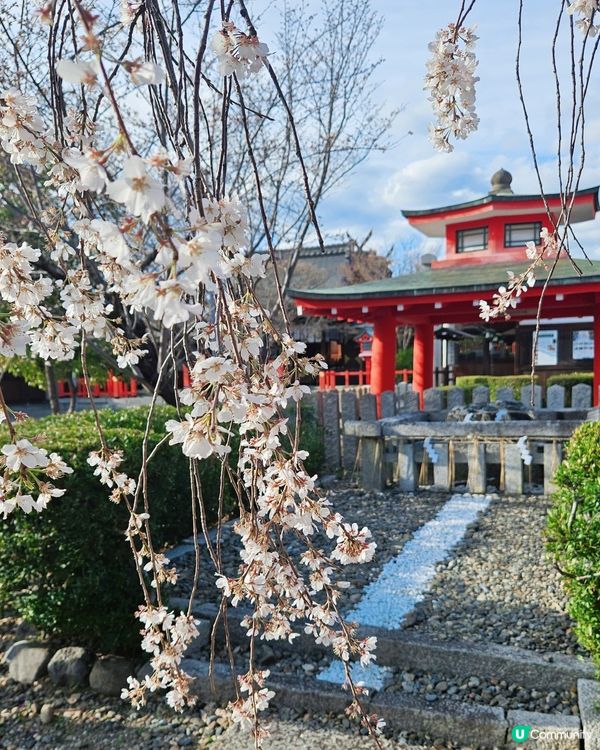 嵐山隱世賞樱秘境🌸藝能界神社⛩️車折神社⛩️