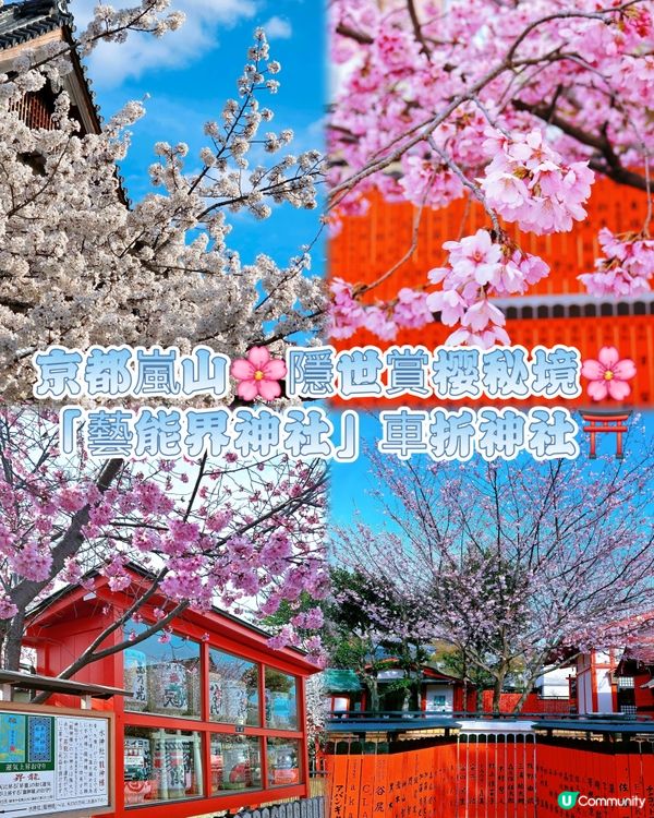 嵐山隱世賞樱秘境🌸藝能界神社⛩️車折神社⛩️
