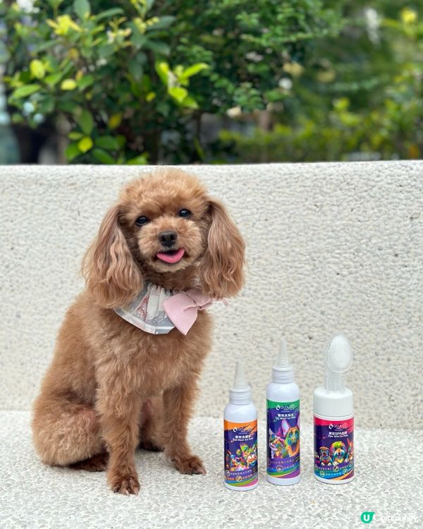 為毛孩提供專業全效護理